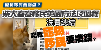 【寵物移民要點做?】究竟寵物移民要幾錢 柴犬春卷移民英國方法及過程 寵物移民