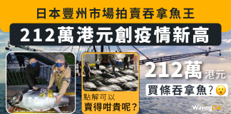 豐州212萬拍賣「日本一」藍鰭吞拿創疫情新高 因乜解究價錢咁高? 吞拿魚