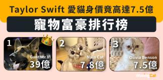 寵物富豪排行榜 Taylor Swift 愛貓身價竟高達7.5億排第2 Taylor Swift