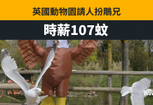 英動物園請「大鵰」 時薪107元錄取率僅2.5% 英動物園請「大鵰」 時薪107元錄取率僅2.5%