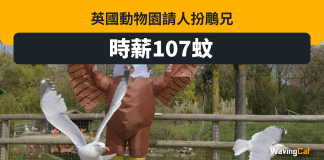英動物園請「大鵰」 時薪107元錄取率僅2.5% 英動物園請「大鵰」 時薪107元錄取率僅2.5%