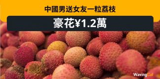 中國男1.2萬拍賣1粒荔枝王轉送女友 網民:這年輕人怎麼想的? 中國男1.2萬拍賣1粒荔枝王轉送女友 網民:這年輕人怎麼想的?