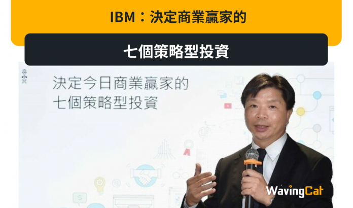 IBM：決定商業贏家的七個策略型投資