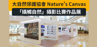 大自然保護協會 Nature’s Canvas:「攝觸自然」攝影比賽作品展 大自然保護協會 Nature's Canvas:「攝觸自然」攝影比賽作品展
