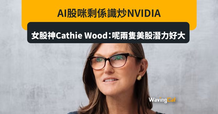 AI股咪剩係識炒NVIDIA 女股神Cathie Wood：呢兩隻美股潛力好大