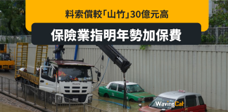 暴雨後索償較山竹30億高 500年一遇下年都要加保費 暴雨後索償較山竹30億高 500年一遇下年都要加保費