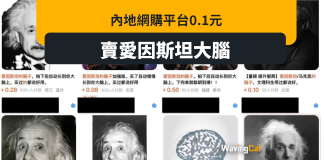 內地網店平價出售「愛因斯坦大腦」 $0.1元可「智商+1」 內地網店平價出售「愛因斯坦大腦」 $0.1元可「智商+1」