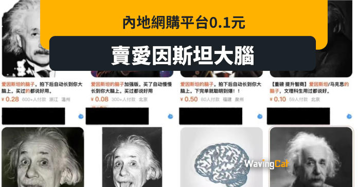 內地網店平價出售「愛因斯坦大腦」 $0.1元可「智商＋1」