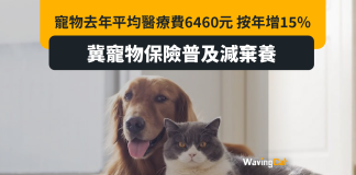 寵物醫療費平均6460元 按年增15% 寵物醫療費平均6460元 按年增15%