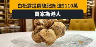 白松露110萬拍賣成交破紀錄 白松露110萬拍賣成交破紀錄