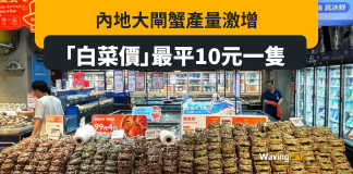 大閘蟹產量激增遇需求下降 「大白菜價」跌至10元一隻 大閘蟹產量激增遇需求下降 「大白菜價」跌至10元一隻