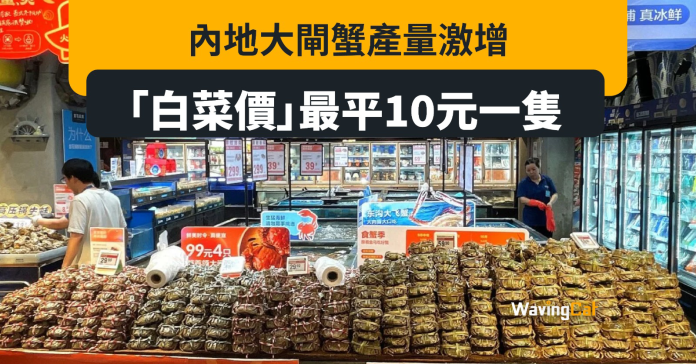 大閘蟹產量激增遇需求下降 「大白菜價」跌至10元一隻