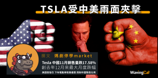 TSLA受中美兩面夾擊 TSLA受中美兩面夾擊