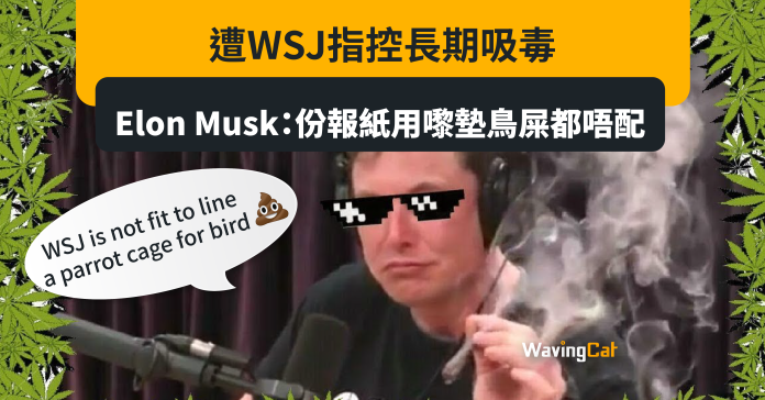 遭WSJ指控長期吸毒 Elon Musk：份報紙用嚟墊鳥屎都唔配