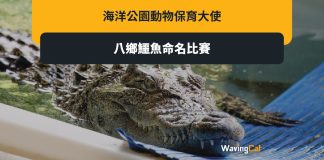 海洋公園辦鱷魚命名比賽 勝出者親友獲全年會籍兼$2000餐飲券 海洋公園辦鱷魚命名比賽 勝出者親友獲全年會籍兼$2000餐飲券