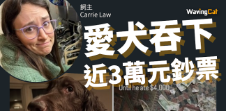 愛犬吞食3萬元現鈔 主人從糞便中尋回2.77萬 愛犬吞食3萬元現鈔 主人從糞便中尋回2.77萬