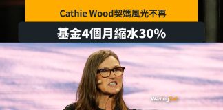 Cathie Wood風光不再 錯過NCDA 死追TSLA 基金四個月縮水30% Cathie Wood風光不再 錯過NCDA 死追TSLA 基金四個月縮水30%