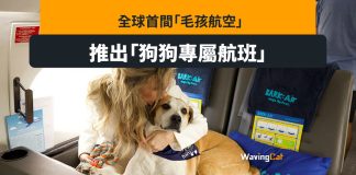 全球首間「毛孩航空」 推毛孩專屬航班 全球首間「毛孩航空」 推毛孩專屬航班