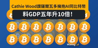 Cathie Wood讚薩爾瓦多擁抱AI同比特幣 料GDP五年升10倍! Cathie Wood讚薩爾瓦多擁抱AI同比特幣 料GDP五年升10倍!
