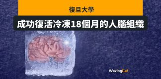 復旦大學成功復活冷凍18個月的人腦組織 復旦大學成功復活冷凍18個月的人腦組織