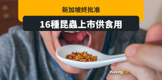 曾兩度推遲 新加坡終批准16種昆蟲可供食用 曾兩度推遲 新加坡終批准16種昆蟲可供食用