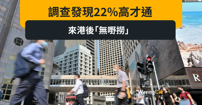 調查發現22%高才通來港後「無嘢撈」