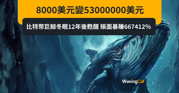 8000美元變53000000美元 比特幣巨鯨冬眠12年後甦醒 賬面暴賺667412%