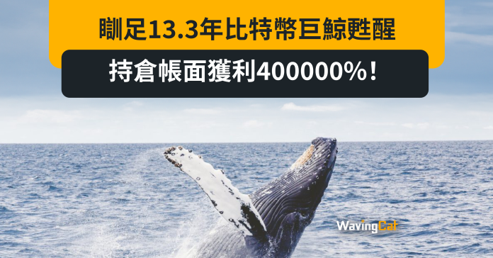 瞓足13.3年比特幣巨鯨甦醒 持倉帳面獲利400000%！