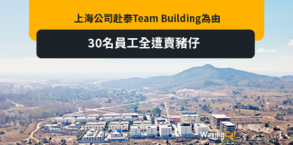 上海公司赴泰Team Building為由 30名員工全遭賣豬仔 上海公司赴泰Team Building為由 30名員工全遭賣豬仔