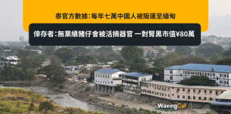 泰官方數據:每年七萬中國人被販運至緬甸 倖存者:無業績豬仔會被活摘器官 一對腎黑市值¥80萬 泰官方數據:每年七萬中國人被販運至緬甸 倖存者:無業績豬仔會被活摘器官 一對腎黑市值¥80萬